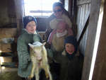 Lamb um páska 2007